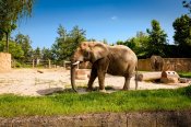 Iveta-leto-zoo-iv-0724_2